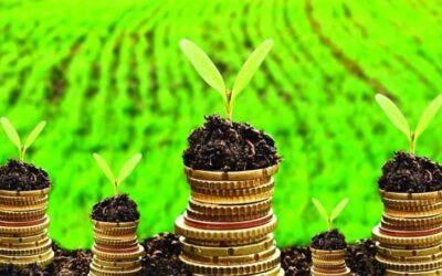 Central Bank of Kuwait Encourages Local Banks to Support Green Financing 1578416 2