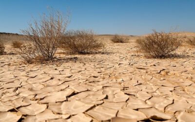 Global Efforts to Address Climate Change Falling Short climate