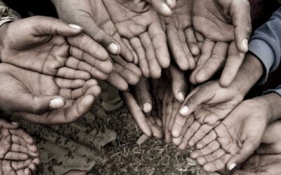 Understanding and Addressing Food Insecurity spotlight2