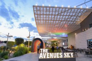 the avenues sky