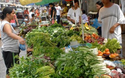 A woman buys vegetable at a market in Manila, 07 August 2007.  Philippine consumer prices rose at a higher than expected clip of 2.6 percent in July, the government announced 07 August 2007, as a dry spell pushed up food and utility costs with the July figure at 0.3 percentage points above the June number.   AFP PHOTO/Jay DIRECTO
pt2 / august 8 / 070807_economy03.jpg