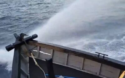 Video screengrab courtesy of Ray Powell
