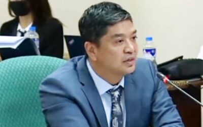 House of Representatives Considers Transfer to Bonifacio Global City Camarines Sur 2nd District Rep. Luis Raymund “LRay” Villafuerte Jr. Photo from Congress