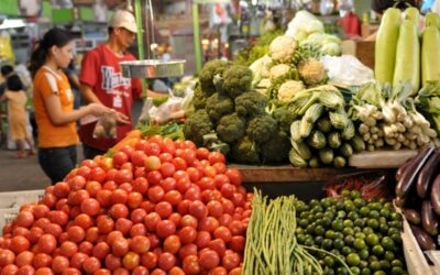 Philippine Inflation Drops to 3.9% in December A customers buys vegetables in a farmers market in Quezon City, suburban Manila on April 4, 2008. The National Statistics Office said that rising food prices helped push saw the March inflation rate to a 20-month high of 6.4 percent. It cited "upward movements in the prices of the heavily weighted food items such as rice, flour and flour products, pork, cooking oil, selected spices and seasonings, milk and milk products. AFP PHOTO/Jay DIRECTO pt2/news/april-05_040408_inflation05