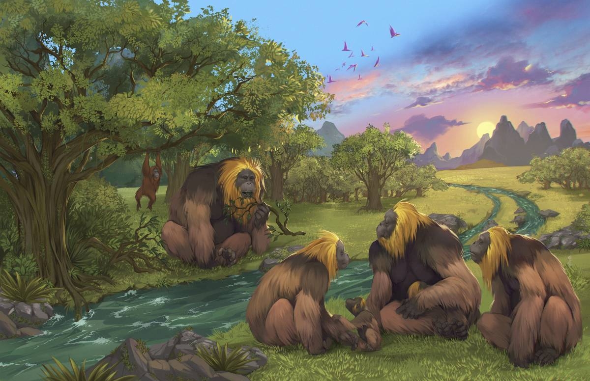 This illustration provided by researchers depicts Gigantopithecus blacki in a forest in the Guangxi region of southern China. PHOTO BY GARCIA/JOANNES-BOYAU/SOUTHERN CROSS UNIVERSITY
