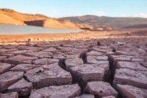 Climate change is contributing to drought conditions across the world. WMO/Fouad Abdeladim