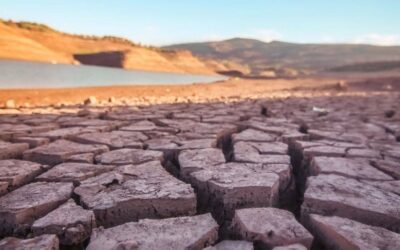 Climate change is contributing to drought conditions across the world. WMO/Fouad Abdeladim