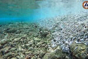 Screengrab from Philippine Coast Guard Video shows damage to marine environment and coral reef. Philippine Coast Guard