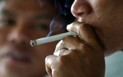 Global Tobacco Use Declining, but Big Tobacco Remains a Threat – WHO Report 291285