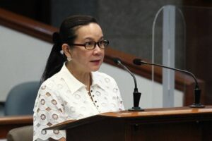 SEN. Mary Grace Poe. File Photo