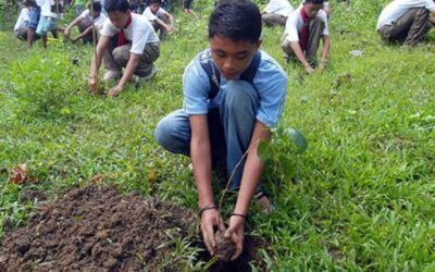 Growing Number of Villages Establish Community Gardens for Development FILE PHOTO