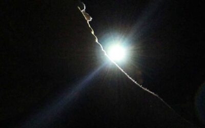 The Truth Behind Insects and Bright Lights Revealed COMELEC BLACKOUT