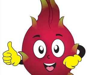 Dragon Fruit (Drinks and Beverages) Dragon Fruit