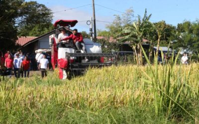 FARMER BONGBONG President Ferdinand Marcos Jr., with the help of a farmer, operates the Rice Combined Harvester during a ceremonial harvesting and assistance distribution event in Barangay Mandili, Candaba, Pampanga, on Saturday, Feb. 3, 2024. Agriculture Secretary Francisco Tiu Laurel accompanied the President. PHOTO BY RENE H. DILAN
