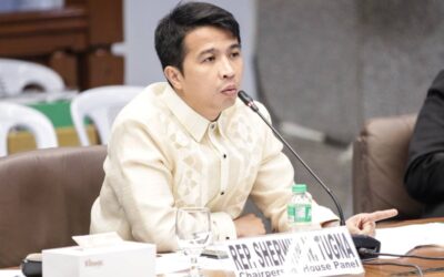 Bocaue Vice Mayor Sherwin Tugna. FILE PHOTO