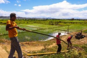 three men in farm