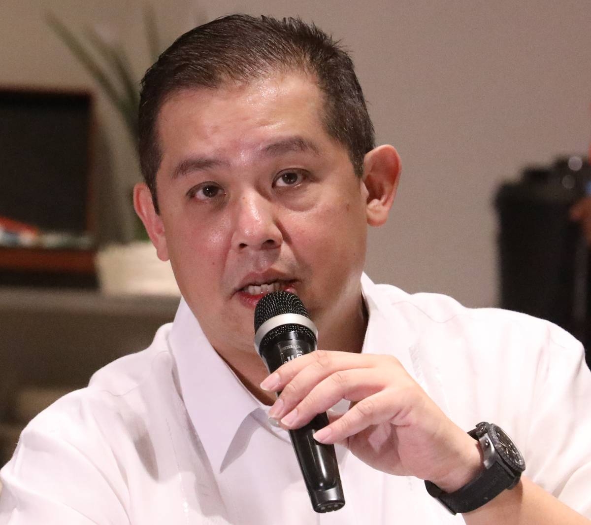 Speaker Ferdinand Martin Romualdez. File Photo