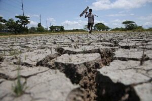 A farmers walks fast at the drought rice field in Baliuag, Bulacan as summer start last week.PHOTO BY: RENE H. DILAN