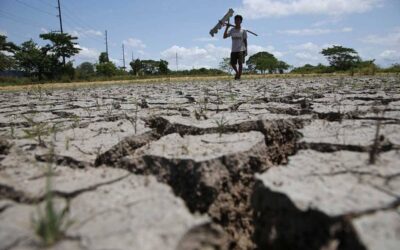 Assistance for El Niño-Affected Farmers and Fishers in the Philippines A farmers walks fast at the drought rice field in Baliuag, Bulacan as summer start last week.PHOTO BY: RENE H. DILAN