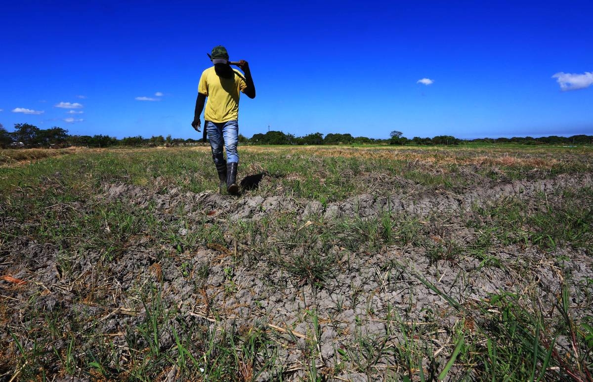 el nino-20240218_Alquinto-04_367383