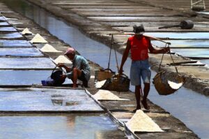 Salt farmers work the last few remaining salt beds in Barangay Sta. Isabel in Kawit, Cavite on May 19, 2021. Climate change and reclamation of coastal areas drive asinan (traditional salt making sites) to obsolescence. PHOTO BY MIKE ALQUINTO