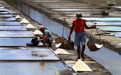 Revitalizing the Philippine Salt Industry: President Marcos Signs Landmark Law Salt farmers work the last few remaining salt beds in Barangay Sta. Isabel in Kawit, Cavite on May 19, 2021. Climate change and reclamation of coastal areas drive asinan (traditional salt making sites) to obsolescence. PHOTO BY MIKE ALQUINTO