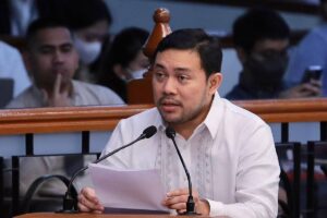 Sen. Mark Villar. Senate PRIB