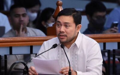 Sen. Mark Villar. Senate PRIB