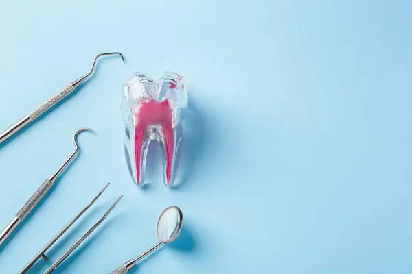 Patients Find Dental Care in Kuwait to be Excessively High 1 Expensive Dental Care in Kuwait