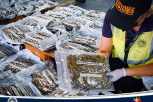 The Bureau of Customs (BOC), through the Manila International Container Port (MICP), has intercepted a shipment from Thailand that contained dried marijuana, also known as kush, with an estimated value of approximately PhP 29,499,400.00. Photo from Bureau of Customs PH FB page