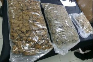 NO TAKERS High-grade cannabis from Canada and the United States is found abandoned at the Central Mail Exchange Center in Pasay City on Friday, April 26, 2024. The seized contraband was worth P3,550,310. CONTRIBUTED PHOTO