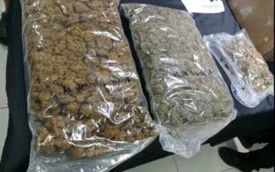 Title: Seizure of High-Quality Cannabis Parcels in Manila NO TAKERS High-grade cannabis from Canada and the United States is found abandoned at the Central Mail Exchange Center in Pasay City on Friday, April 26, 2024. The seized contraband was worth P3,550,310. CONTRIBUTED PHOTO