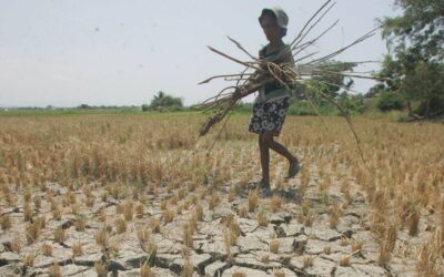 Allocation of P15 Billion for El Niño Relief and Support 335998
