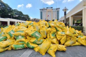 Piña rice sold at P39 per kilo during the Kadiwa ng Pangulo caravan at Quezon City hall recently. CONTRIBUTED PHOTO