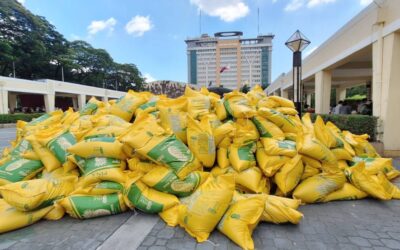 Kadiwa ng Pangulo to Distribute Piña Rice Nationwide Piña rice sold at P39 per kilo during the Kadiwa ng Pangulo caravan at Quezon City hall recently. CONTRIBUTED PHOTO
