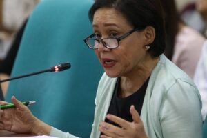 Sen. Cynthia Villar. File Photo