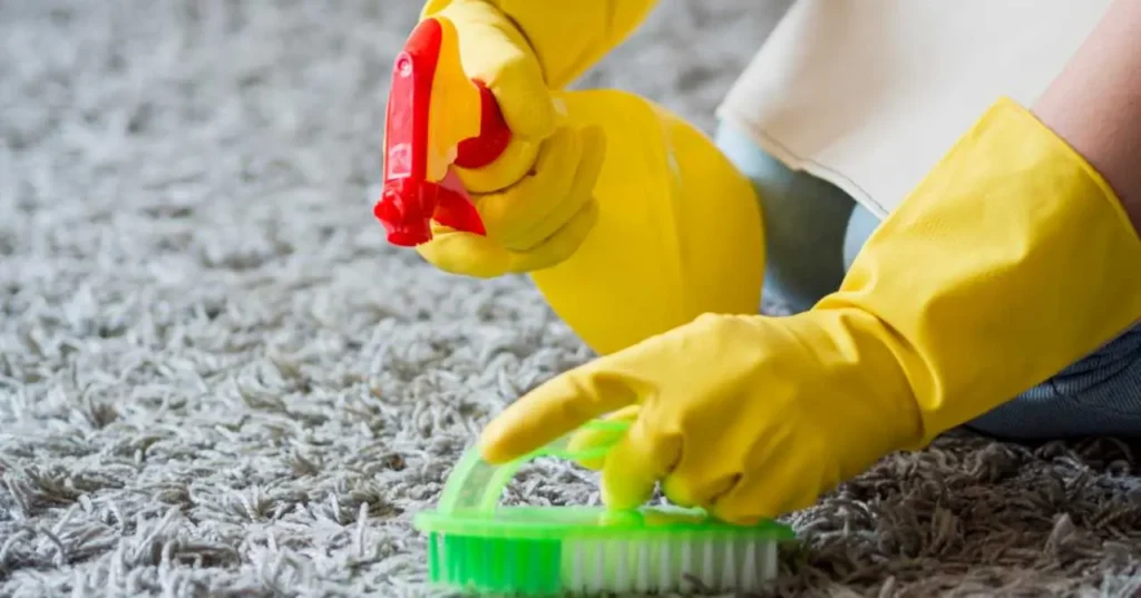 The Ultimate Guide to Deep Cleaning: Do You Really Need It? 1 deep cleaning
