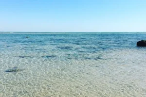 almahboula