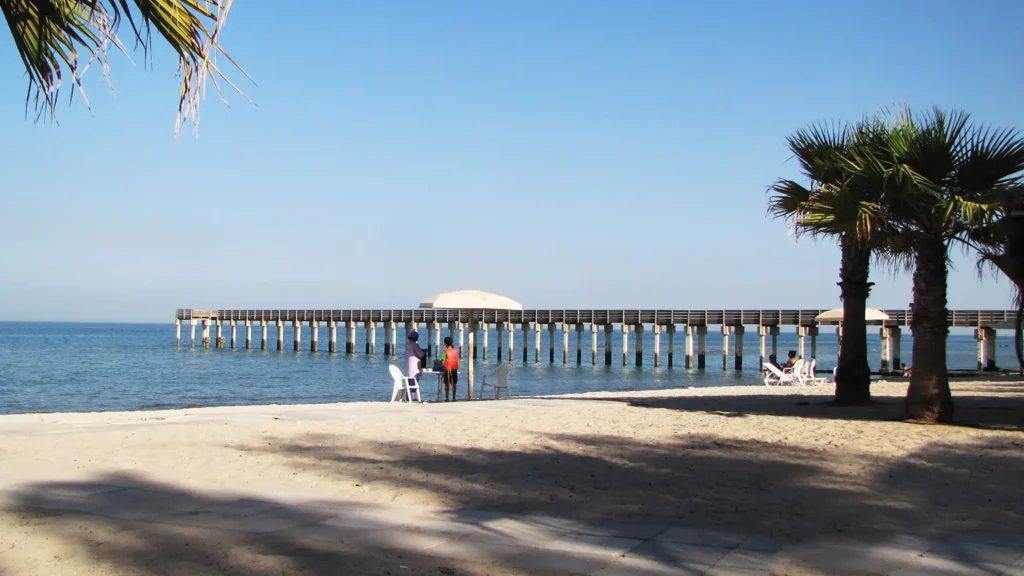 10 Stunning Beaches in Kuwait: Your Ultimate Guide to Relaxing, Refreshing, and Rejuvenating Getaways 8 eqaila