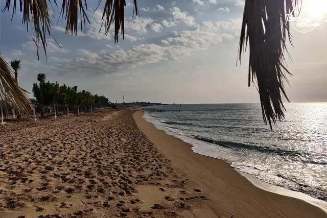 10 Stunning Beaches in Kuwait: Your Ultimate Guide to Relaxing, Refreshing, and Rejuvenating Getaways 10 beaches