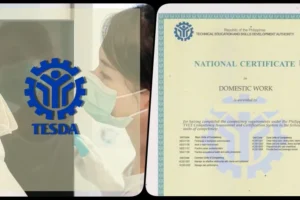 tesda domestic work nc II